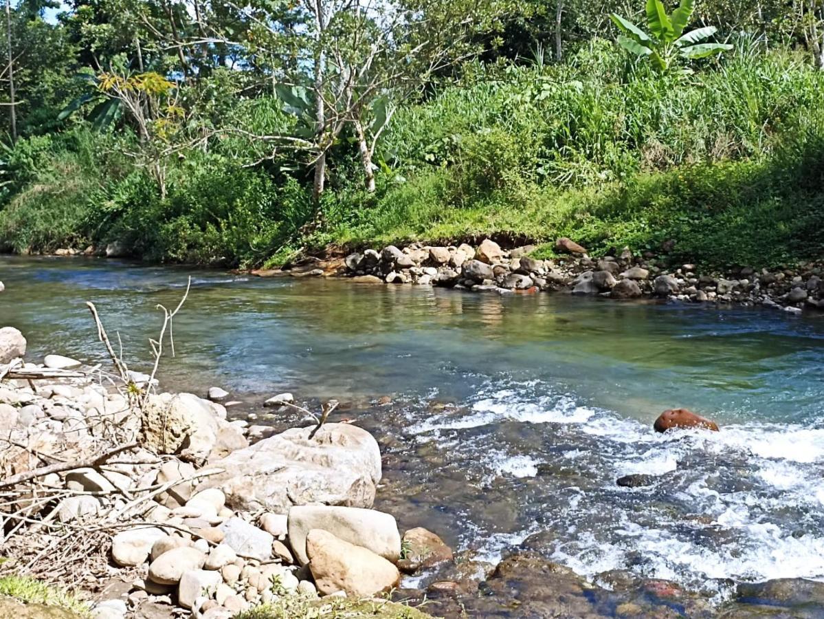 Villa Ceiba La Fortuna 외부 사진