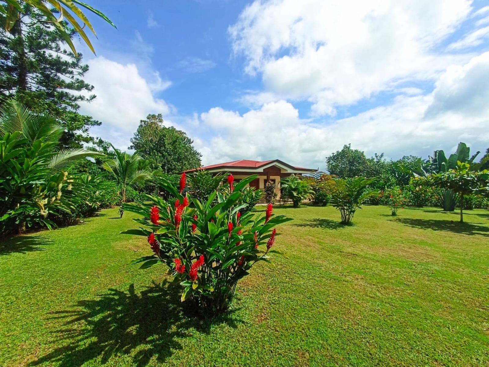 Villa Ceiba La Fortuna 외부 사진